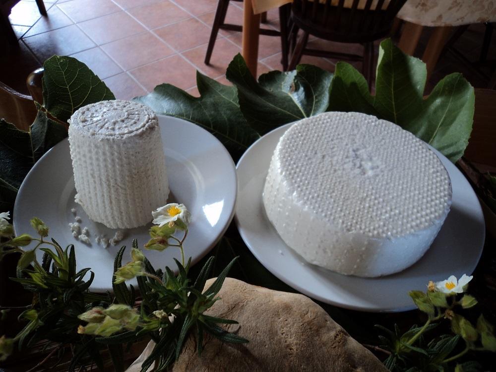 Agriturismo Aurella أسشيا المظهر الخارجي الصورة